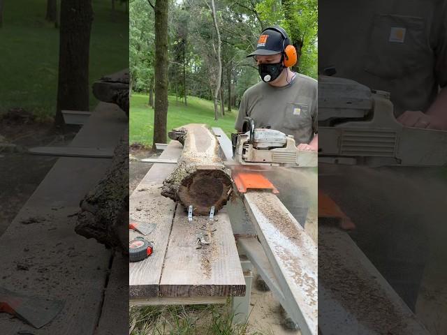 Black Walnut Gold Mine! Perfect Grain + Crotch Figure! Chainsaw Milled!