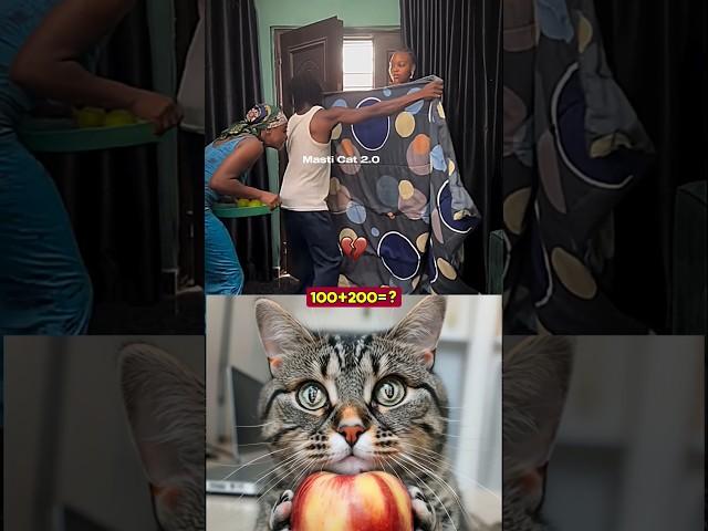 DAY - 1 Aura cat funny #funny #cat #dance #shorts