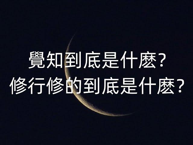 【Lunate's Talk】覺知到底是什麽意思修行到底要修什麽？為什麽產生覺知對修行如此重要？-Lunate夜隱露娜特