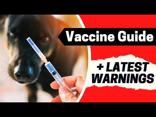 The 4 Vaccines to AVOID?! ️ Veterinarian’s Recommendation