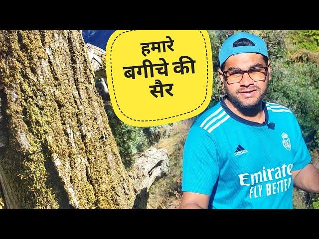 पैरों में कांटा चुभ गया  || Uttarakhand lifestyle vlog || Akki Ke Vlogs