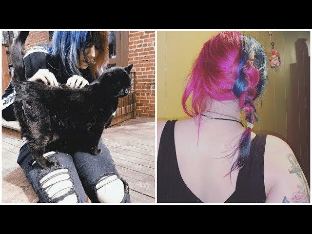 Half and half hair | Lizzy Bizzy
