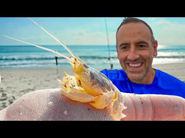 1 in a MILLION Sand Flea | Rarest Surf Fishing Bait!  East Coast Florida