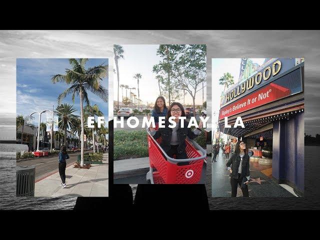 EF Homestay (Language Travel) Los Angeles Winter 2017