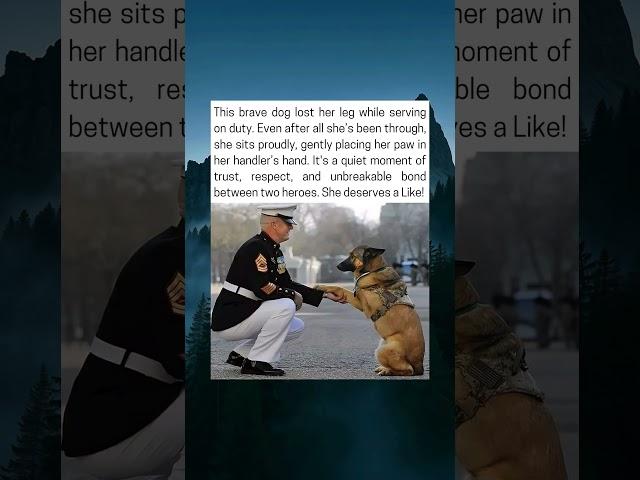 Service Dog Shares Touching Moment With Her Handler