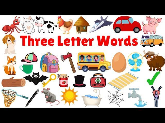 Three Letter Words | 3 letter words Kids Education Video | 3 Letter Words | Learn with examples  