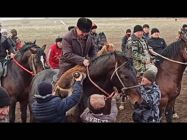 Бишкекте Улак башталды.