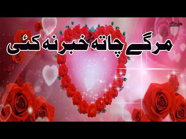 Pashto New Naat 2020 | Margay Cha Ta Habar Na Kai | Naat 2020