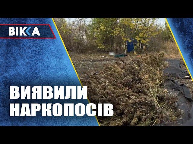 На Черкащині поліцейські виявили наркопосів вартістю близько 3 мільйони гривень