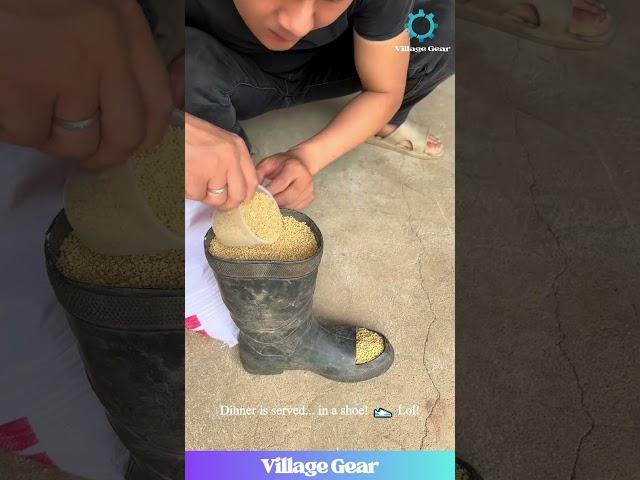 Boot-iful Chick Feeder!  This DIY is Next Level!  #diycrafts #chickenlife #funny #upcycle
