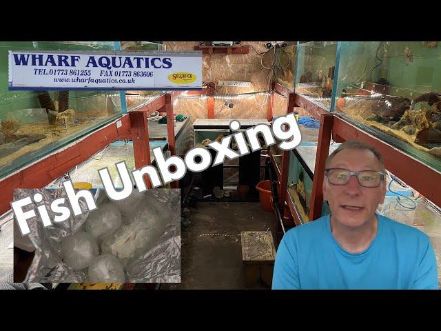 Wharf Fish Unboxing