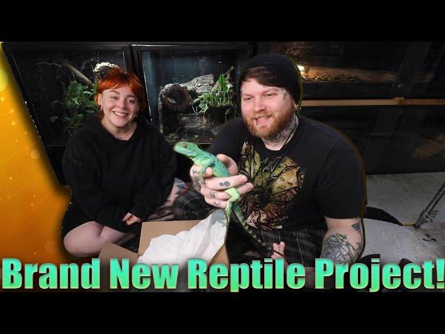 Brand New Reptile Project You'd Never Guess We Would Start!