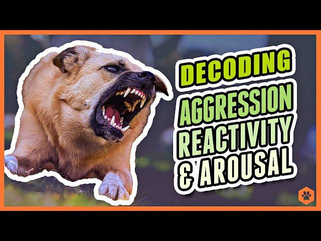 Aggression, Reactivity, and Arousal - Decoding Canine Behavior