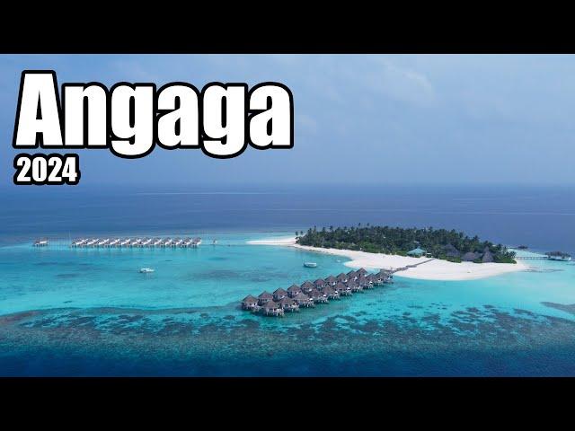 Angaga Island Resort 2024: Traumhafte Malediven & Unterwasserabenteuer mit Walhaien im Süd Ari Atoll