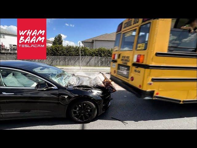 TESLA CRUSHED BY SCHOOL BUS