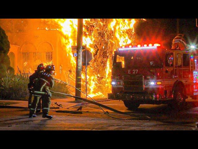 *Pre-Arrival* LAFD Working Multiple Tree Fires with Extension into Residential Building (Hollywood)