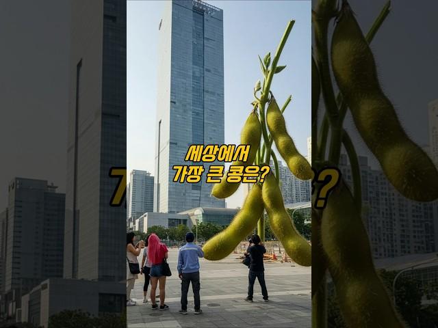 세상에서 가장 큰 콩은? #퀴즈 #개그 #넌센스 #아재개그