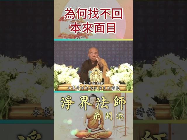 為何找不回本來面目 | 淨界法師 | 佛法精要 | 六塵 | 因緣 | 虛妄 | 識 | 南無阿彌陀佛