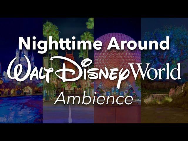 Nighttime Around Walt Disney World Ambience | Disney World Nighttime Fireworks Ambience