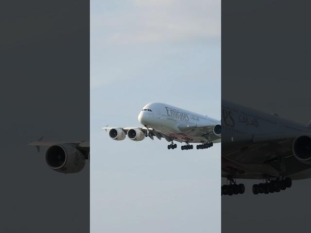 Emirates Airbus a380 touching down into EGCC #aviation #4k #planespotting #emirates #a380