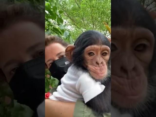 The many animals rescued by Wild at Life, from terrific conditions, are free again