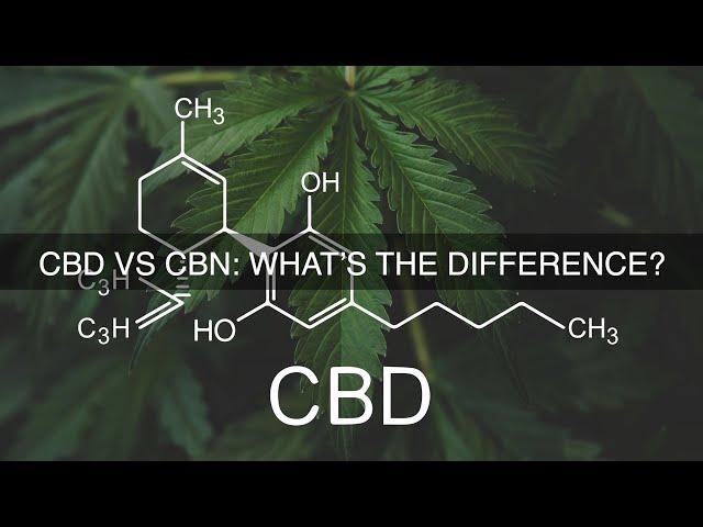 CBD vs CBN: What's The Difference?