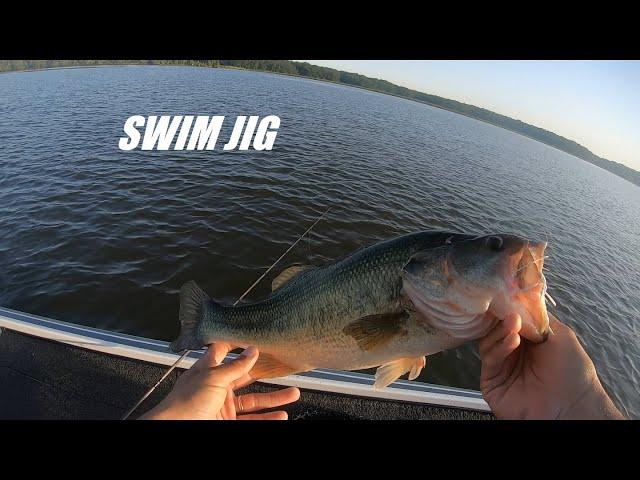 FIVE Bass in ONE HOUR on the Potomac River in June