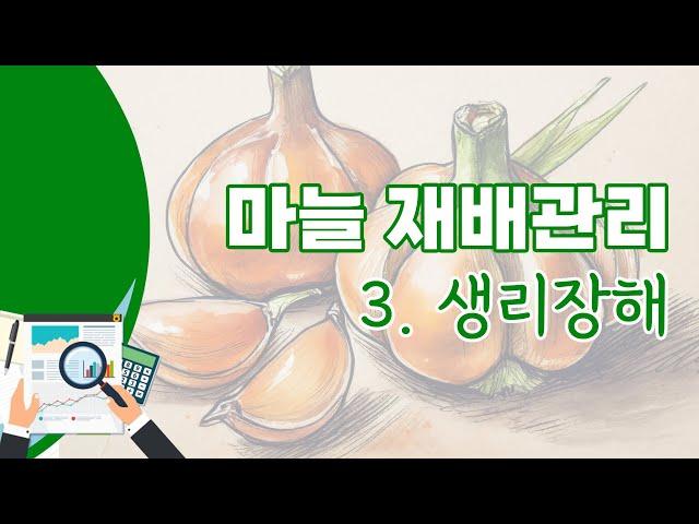 [영농기술] 마늘 재배관리 3. 생리장해