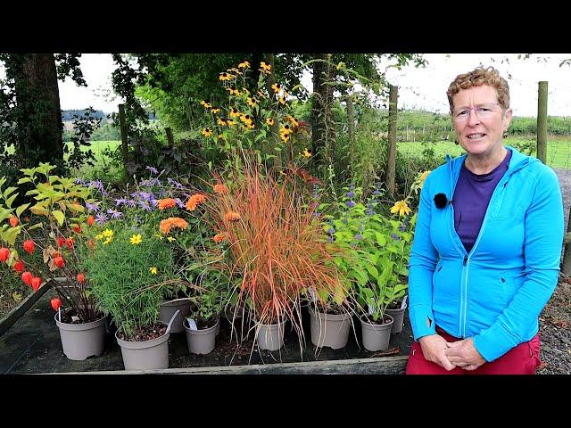 How To Build A Fun & Colourful Garden Border