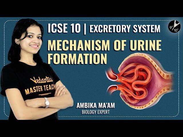 The Excretory System L2 | Mechanism of Urine Formation | ICSE Class 10 Biology | Vedantu Class 10