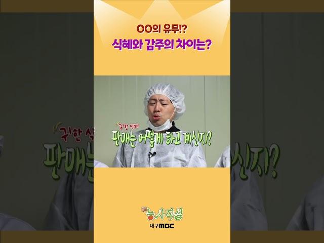 식혜와 감주의 차이는?! #대구mbc #식혜