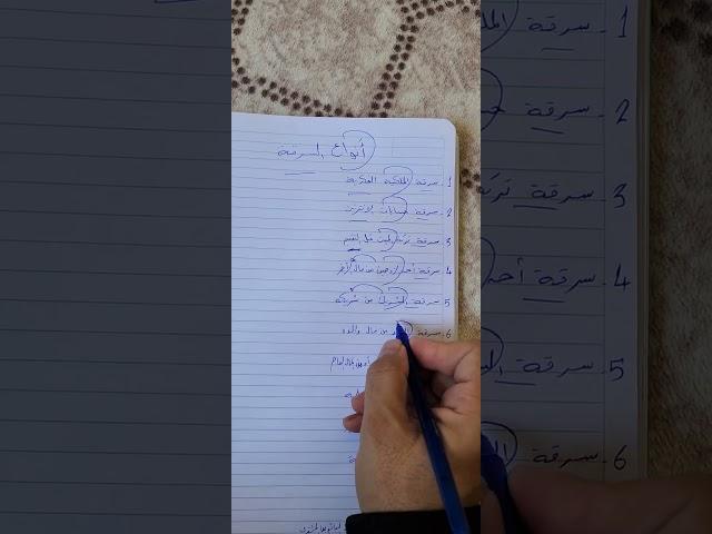 أنواع السرقة