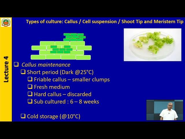 Lec 4 - ABT 301-Culture types - callus and cell suspension culture; shoot tip and meristem culture .