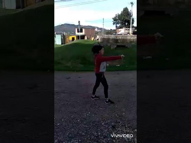 Trabajo Julián Colmenares ficha 1843029