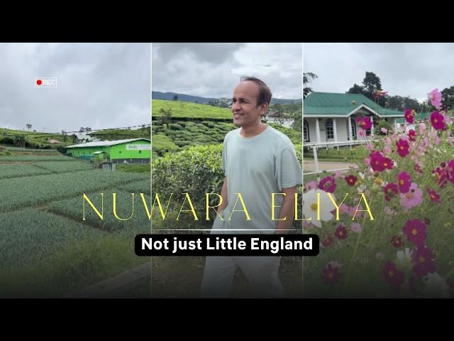 Nuwara Eliya Uncovered: Epic Travel Spots & Hidden Gems in Sri Lanka!