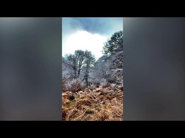 Hiking n’Maja e Zezë ~ Nov. ‘20