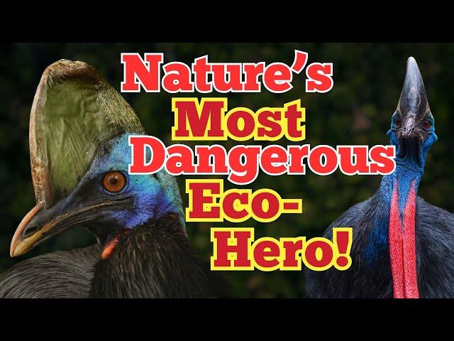 Exploring the Cassowary’s Unique Role in the Ecosystem