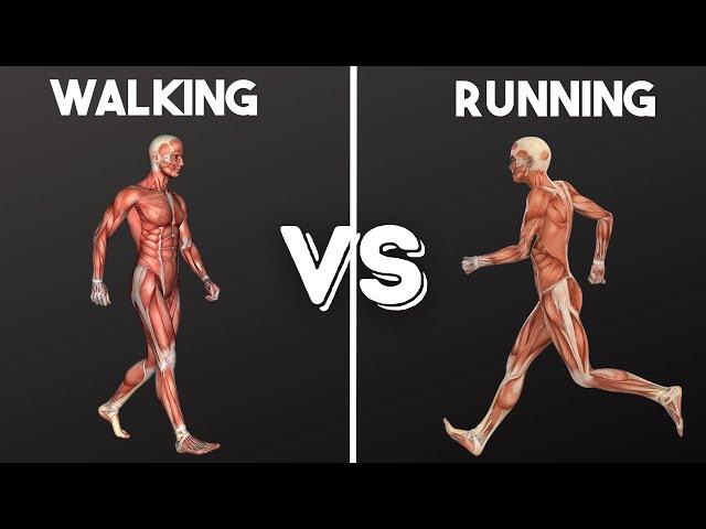 Walking vs Running: Weight Loss, Fat Loss, Life Span AND MORE