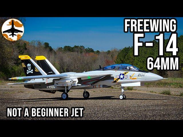 They Say It's Defective, But It's NOT - Freewing F-14 64mm Follow-up Review