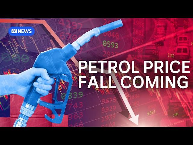 Why the price of unleaded petrol will keep falling in the coming weeks  | The Business | ABC News