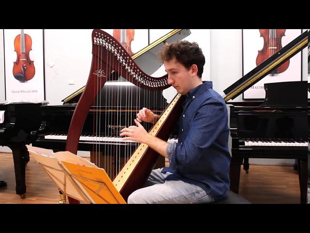 A Camac Hermine 34 string harp | WA Music Co.