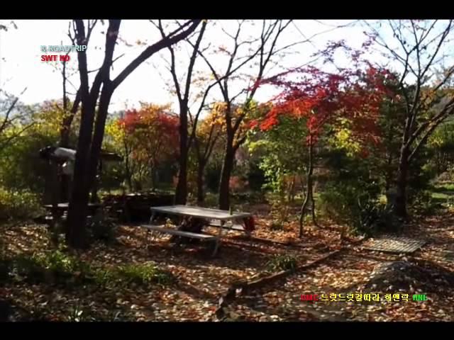 K-ROADTRIP KOREA Hanam city  HLkiM001- farm and fac.  autumn 2013 희앤락 팸앤팍 가을