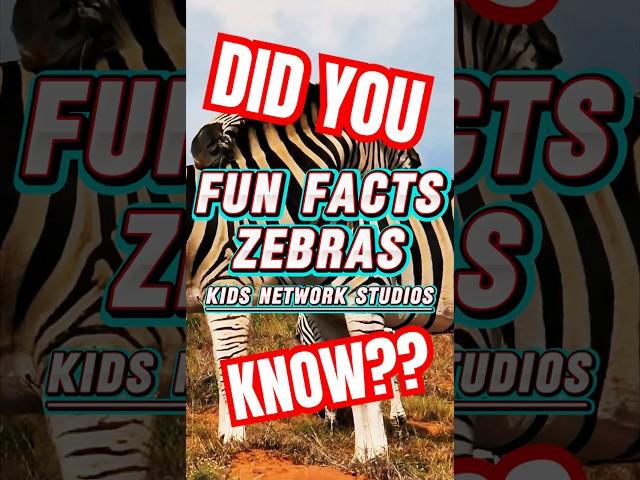  Amazing Zebra Facts  | Kids Network Studios | iSMARTiDEAS | #shorts #didyouknow