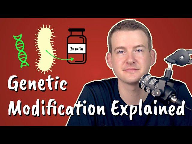 Genetic Modification Explained || Insulin-Producing Bacteria