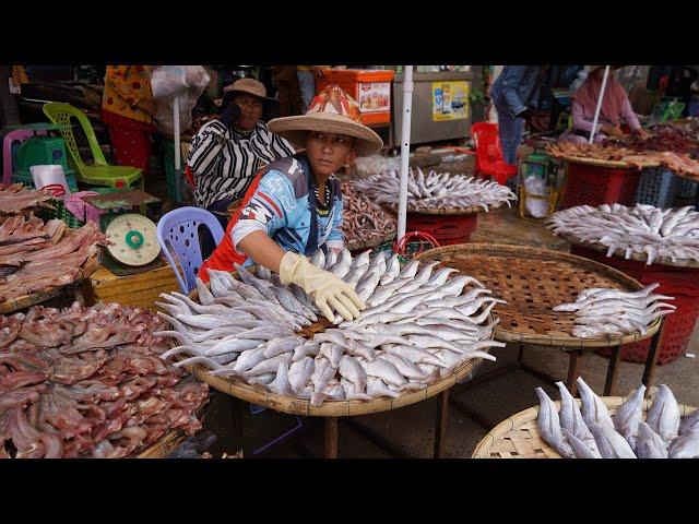 Amazing Sit Selling Dry Fish, Dry Buffalo, Dry Beef, Dry Frog - Dry Food Selling On The Street