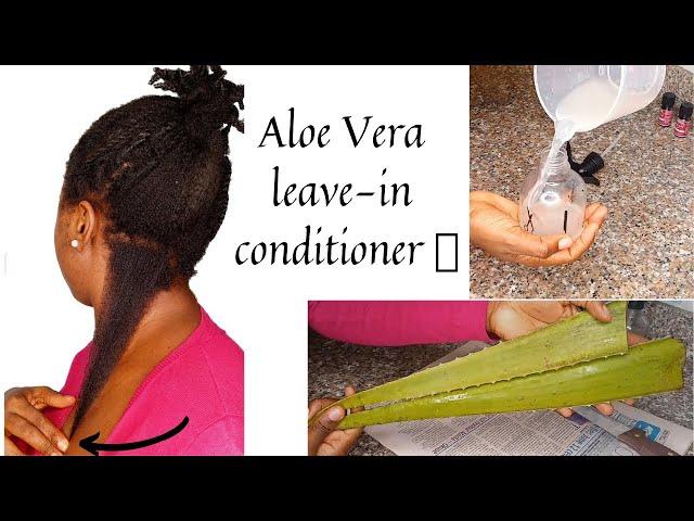 DIY ALOE VERA MOISTURIZING LEAVE-IN SPRAY FOR MAXIMUM HYDRATION | EXTREME HAIR GROWTH #aloevera #4c