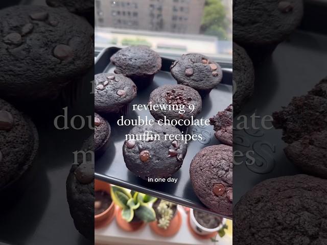 Reviewing 9 double chocolate muffin recipes, part 1!