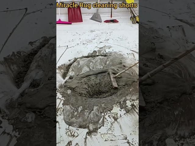 ASMR Cleaning: World’s Dirtiest Rug TRANSFORMED!
