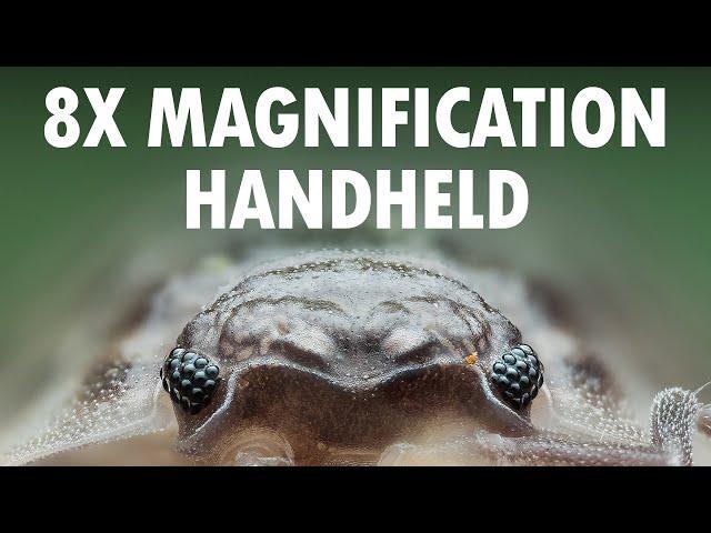 Handheld Macro Photography At 8x Magnification