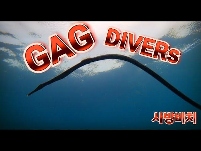 사방비치 스쿠버 다이빙 GAG DIVERs SCUBA DIVING TEAM.